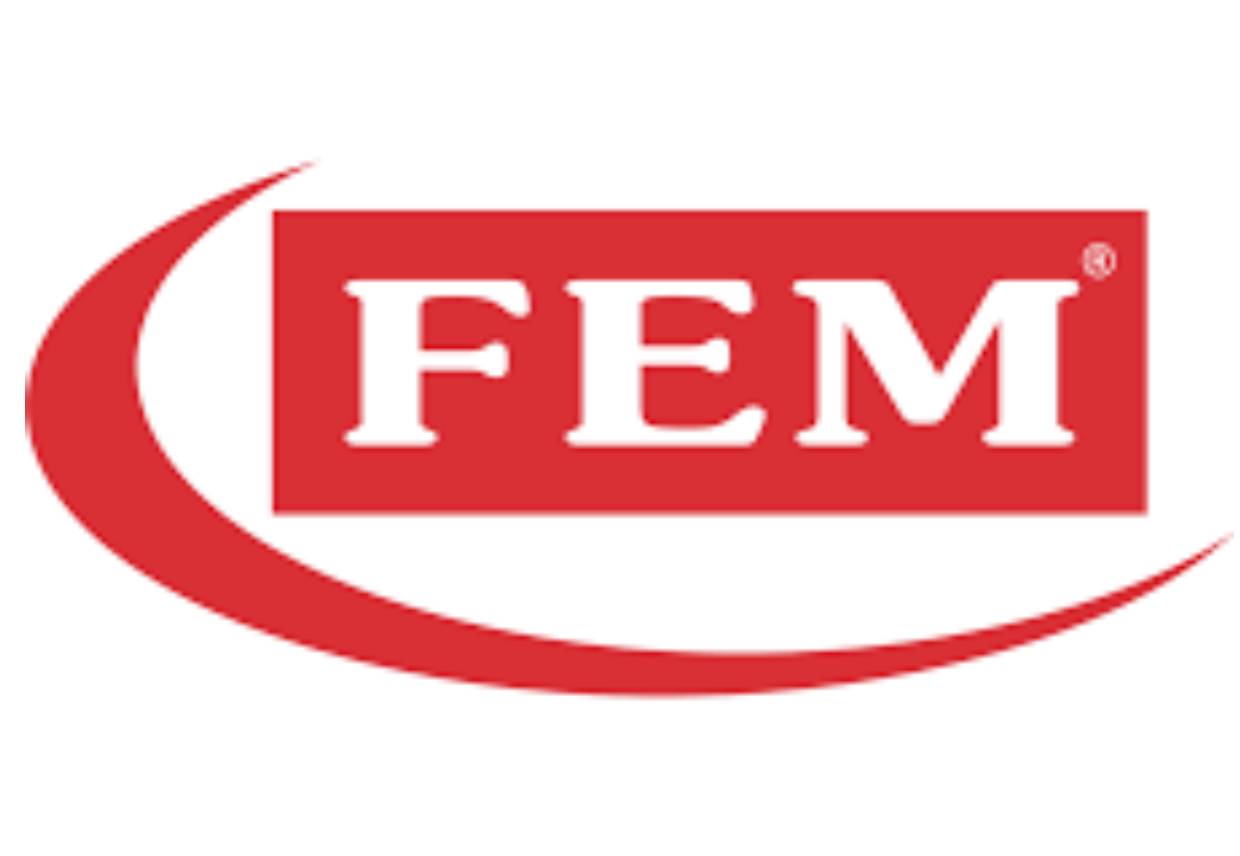 FEM